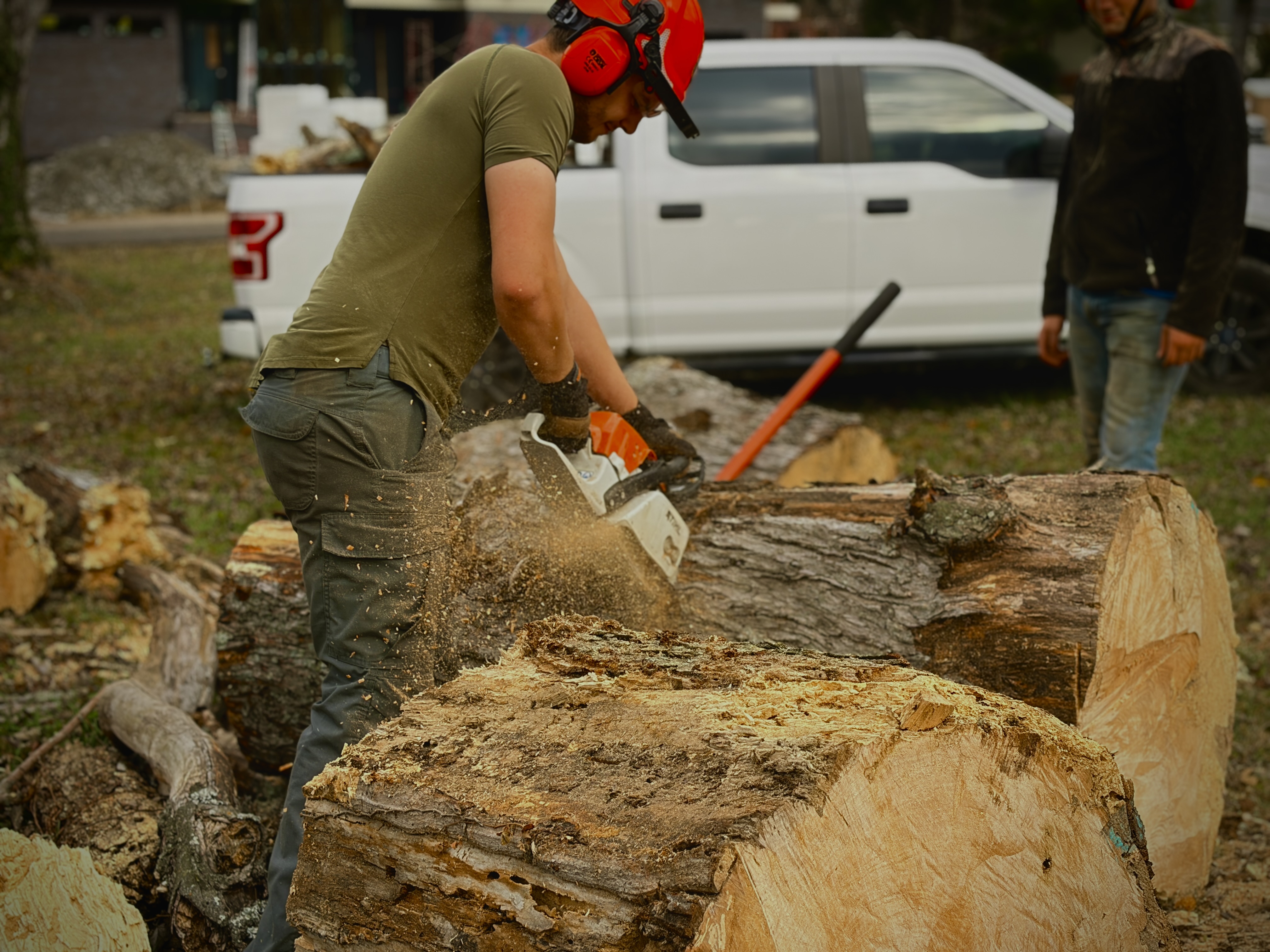 Professional tree removal service in Columbia, TN